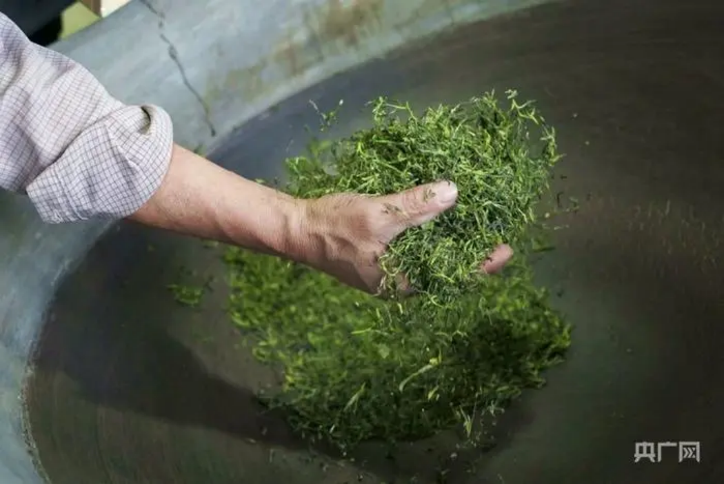 茶叶进出口报告｜出口7081吨，河南茶产业如何破解“加量不加价”困局？