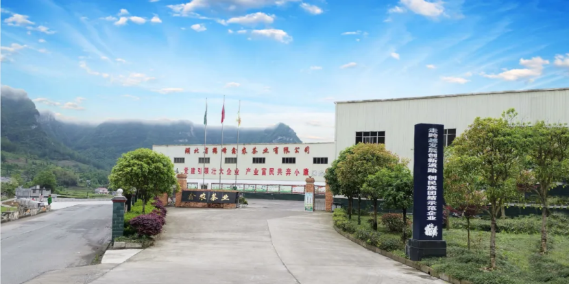 会员动态｜我会会员单位湖北省鹤峰鑫农茶业有限公司被授予"第七届全国文明单位"称号