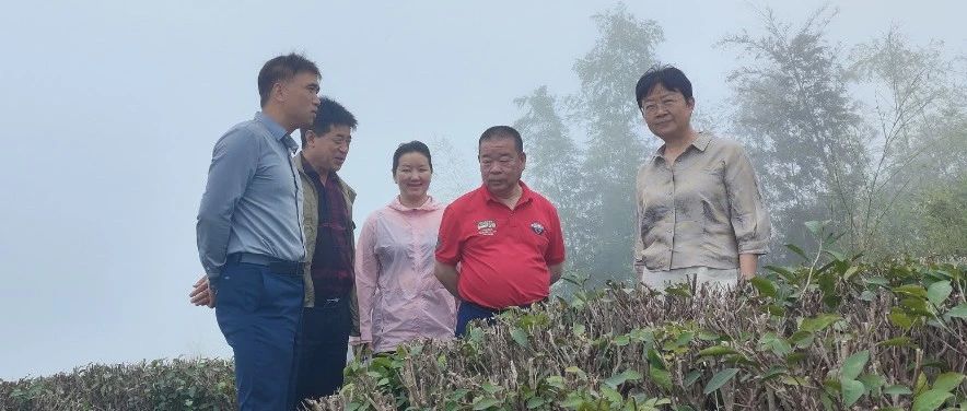携手并进，共促发展：我会领导赴会员单位浙江天河茶业有限公司调研