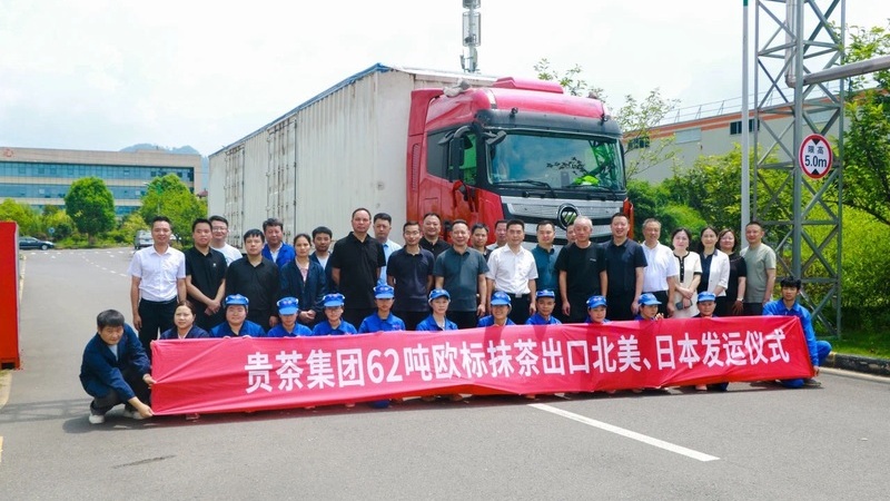 Gui Tea Group Holds Ceremony for Export of 62 Tons of EU-Standard Matcha to North America and Japan