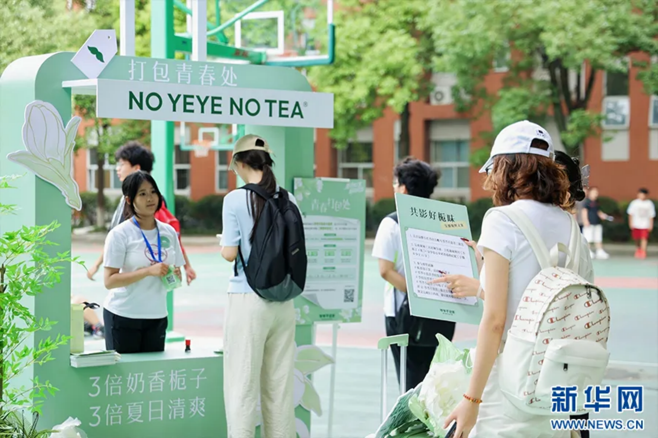 会员动态｜花茶年产20吨→300吨！四川龙骨山茶业借势新茶饮，实现全链跃升