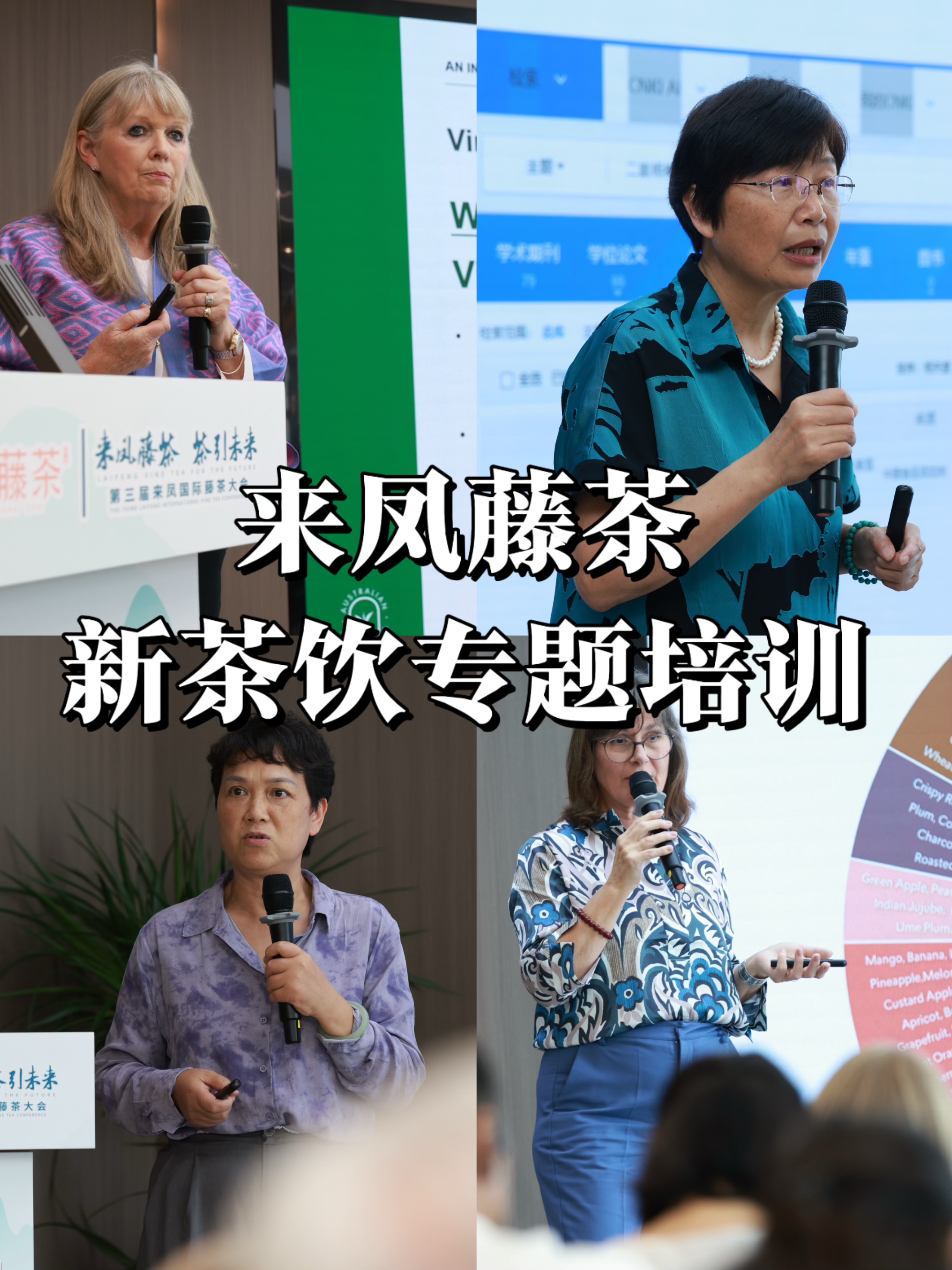 来凤藤茶新茶饮专题培训成功举办，中外专家共绘产业升级路线图