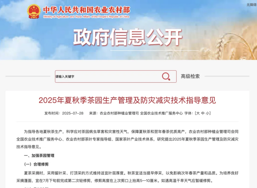农业农村部：2025年夏秋季茶园生产管理及防灾减灾技术指导意见