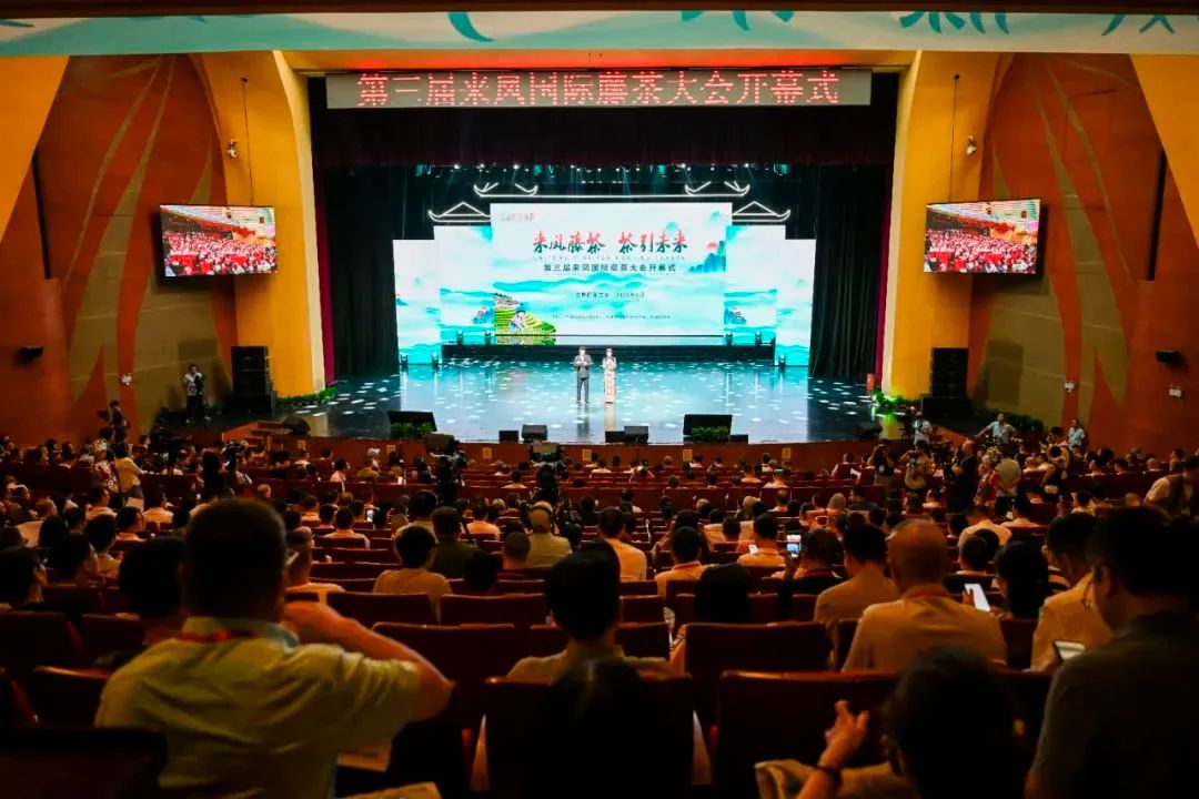 跨山海、联世界！第三届来凤国际藤茶大会成功举办