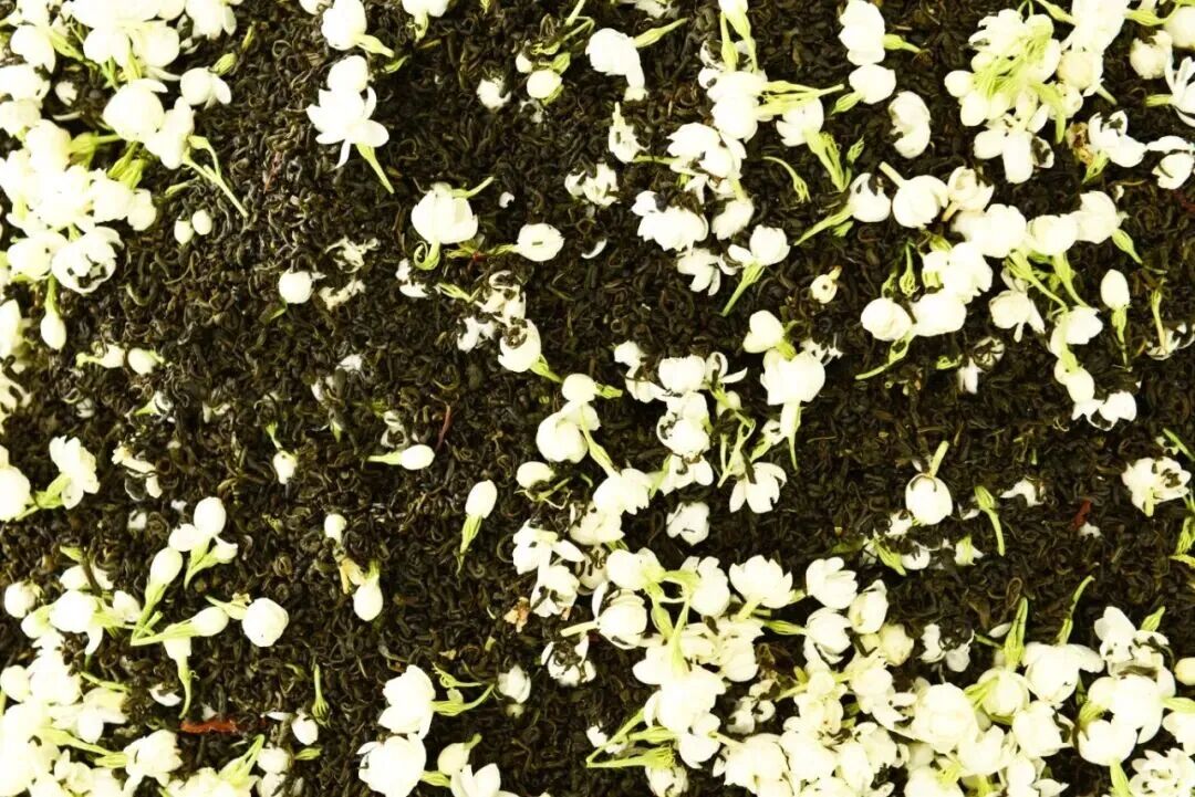 会员动态 | 清溪茶业主持起草《茉莉炒花茶》行业标准正式颁布