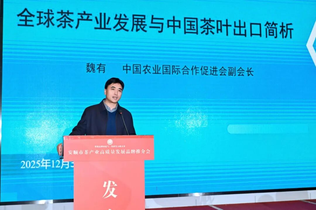 安顺市茶产业高质量发展品牌推介会成功举办，魏有副会长致辞