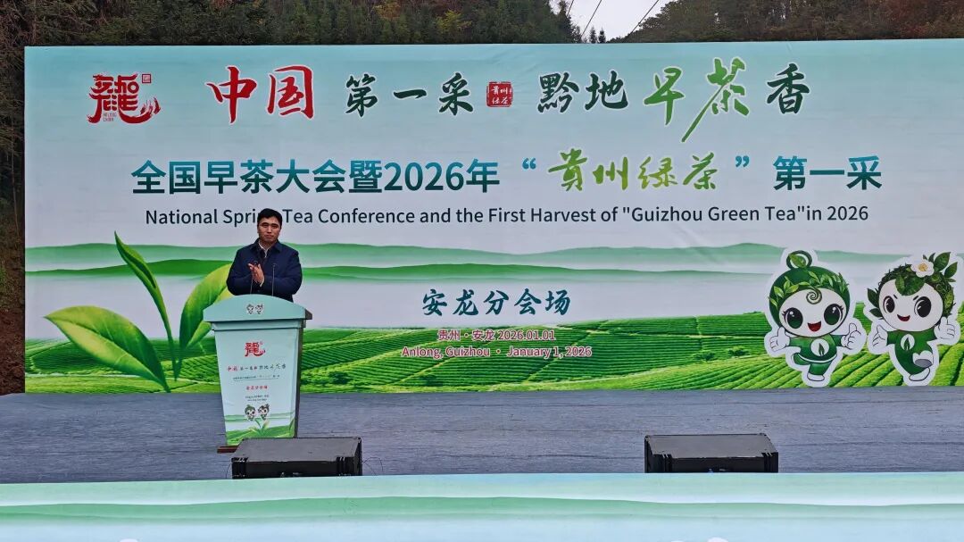 全国早茶大会暨2026年“贵州绿茶”第一采安龙分会场活动成功举办，魏有副会长出席