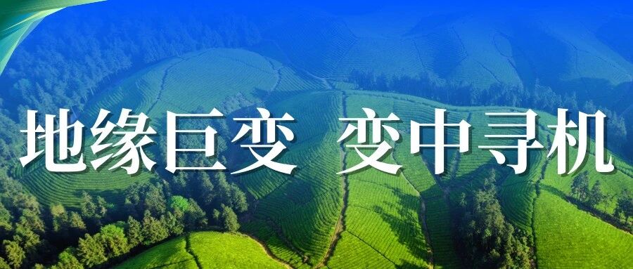 环球观茶 | 地缘政治波动下的国际茶市：全球茶叶贸易最新动态一览