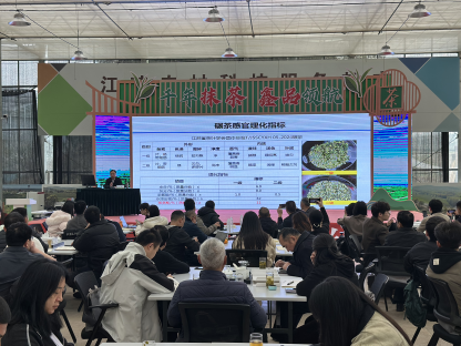 圆满收官！2026年首期全国抹茶（碾茶）生产技术培训班赋能抹茶产业提质增效