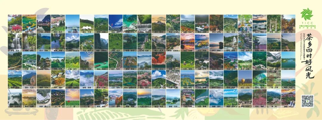 解锁“茶乡四时好风光”，收下这份全年茶旅漫游指南