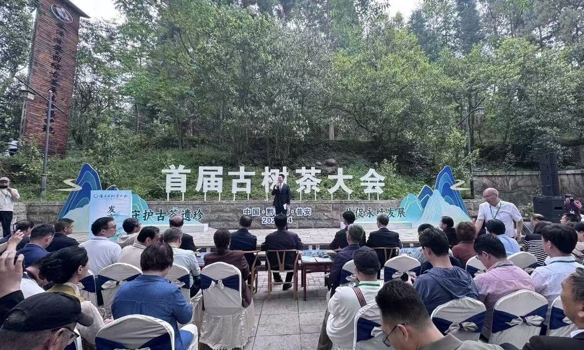 首届古树茶大会在贵州普安举办