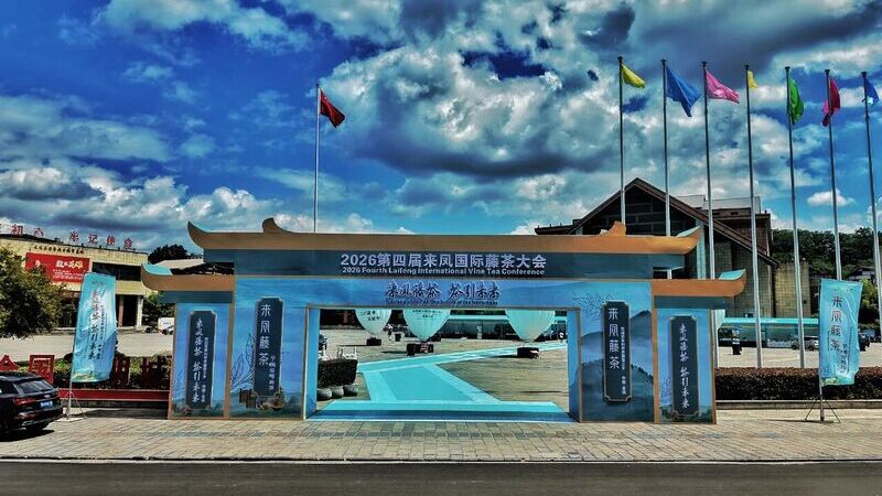 The 4th Laifeng International Vine Tea Conference Opens