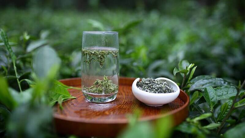 Import and Export Data of China Tea in the First Half of 2026