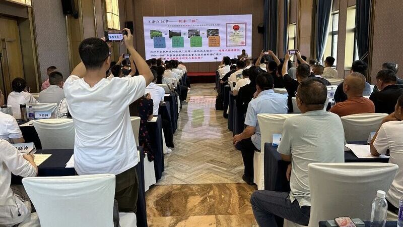 2026 Matcha (Tencha) Production Technology Training Program (3rd Session) Concludes Successfully