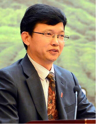 王岳飞