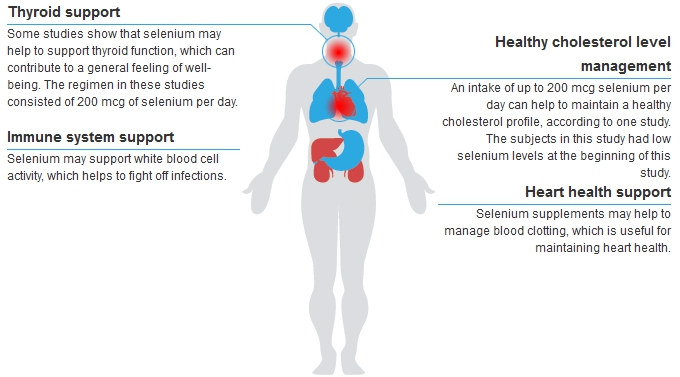 lselenomethioninebenefitsdiagram.jpg