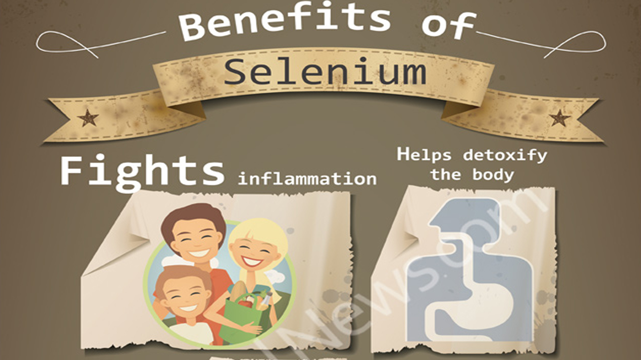 SeleniumHasTheFollowingGreatHealthBenefitsInfographicGP.jpg