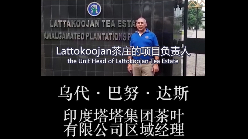 Video of the first International Tea Day from Amalgamated Plantations Private limited of TATA GROUP   