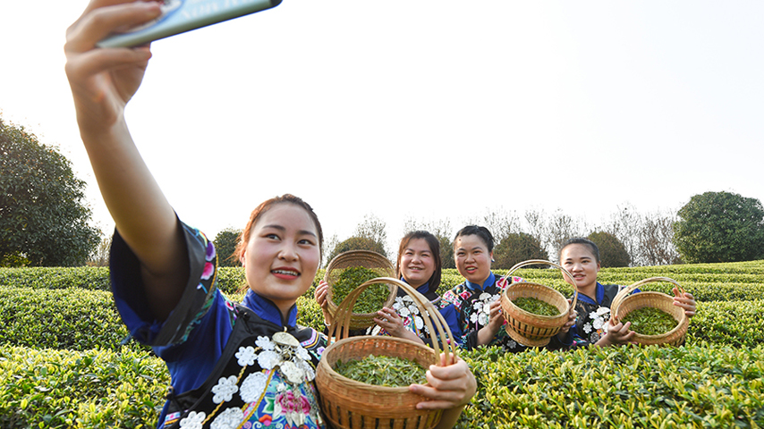 China issues guideline on social investment in rural sectors