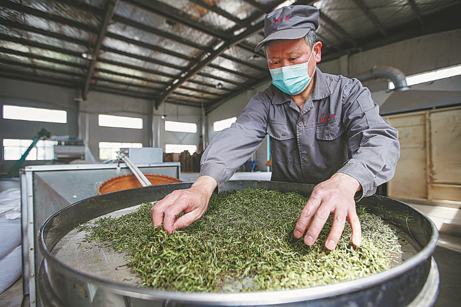 Tour guides offered tea picking jobs