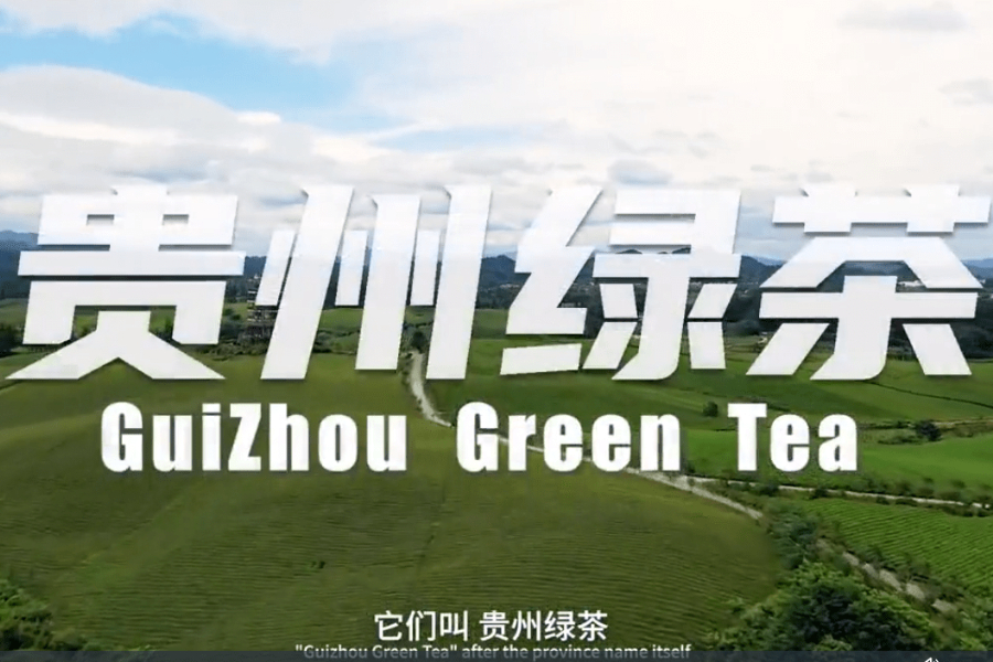 Guizhou green tea promoted abroad