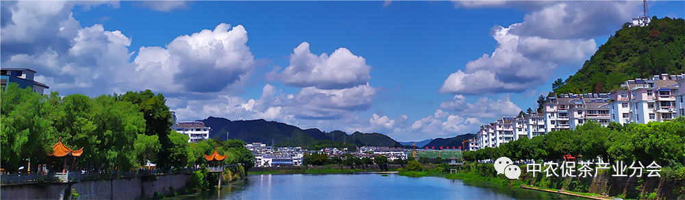 茶旅线路丨来安徽祁门,享祁红茶乡风情游