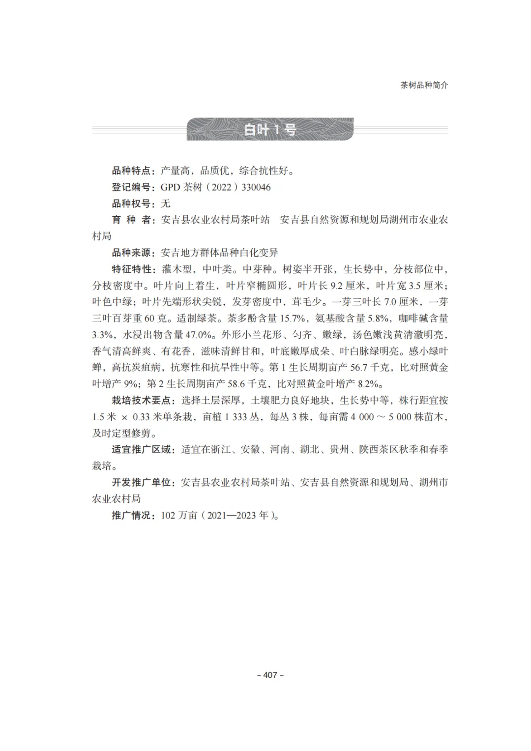 undefined 图片