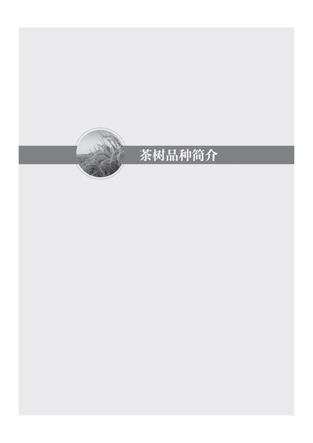 国家农作物优良推广品种下_194.png