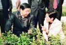 安吉有一片神奇的树叶要上市了......