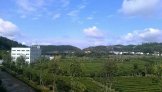 汉中旅游牵手东裕茗园