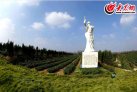 大众拍客团挂牌茶仙子景区 茶旅风光引人入胜来源