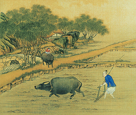 硒 ▏谁揭开了“长寿之乡”如皋“寿星”多的秘密