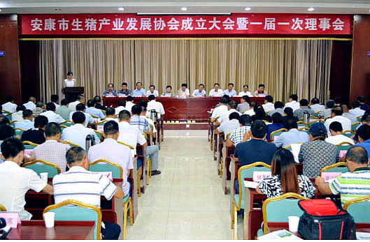 常务理事单位简讯丨安康市成立生猪产业发展协会 阳晨集团董事长杨运早同志当选会长