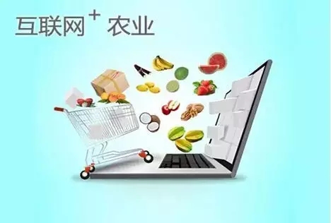 “互联网+农业”大潮来袭，10万亿市场谁来撬？