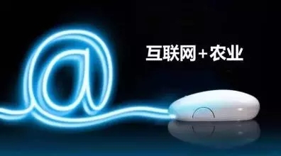 深耕农业互联网，贵在坚持