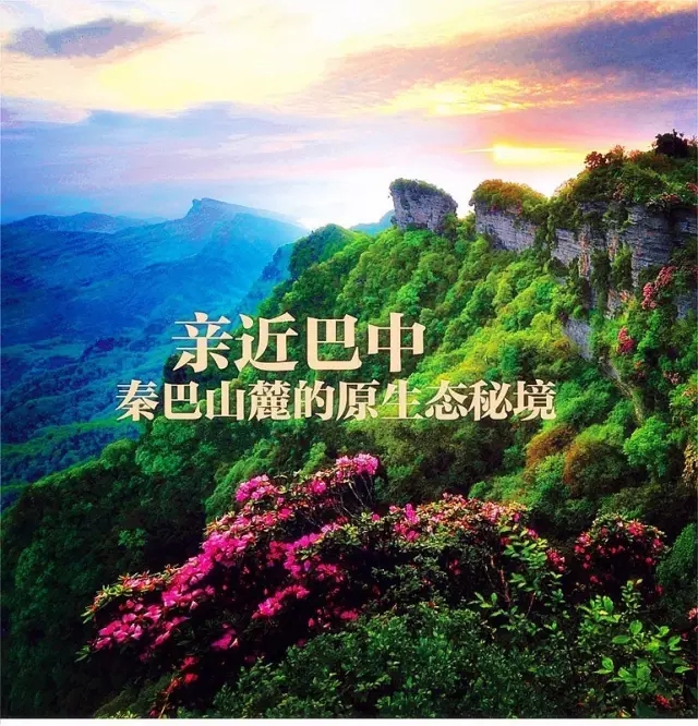 2016功能农产品产业发展座谈会指定产品——秦巴溪谷富硒大米