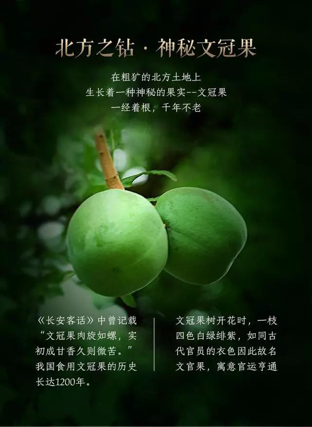 功能农产品介绍4：北方之钻 - 文冠果
