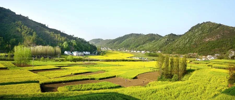 开阳县全力打造“生态富硒示范区”