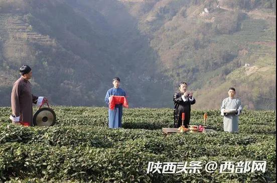 直播首日获2163份订单，这款富硒产品是怎么做到的？