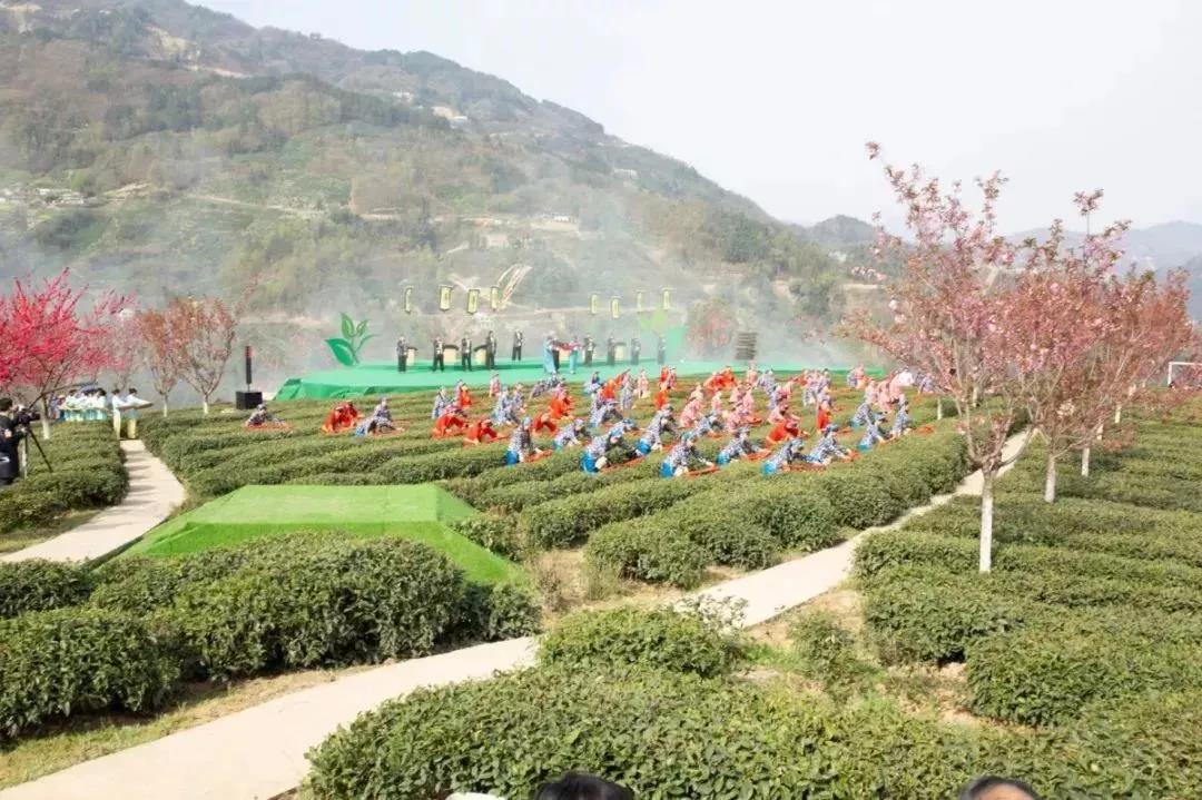 喜讯！！！“紫阳富硒茶”获陕西省地理标志保护示范产品称号