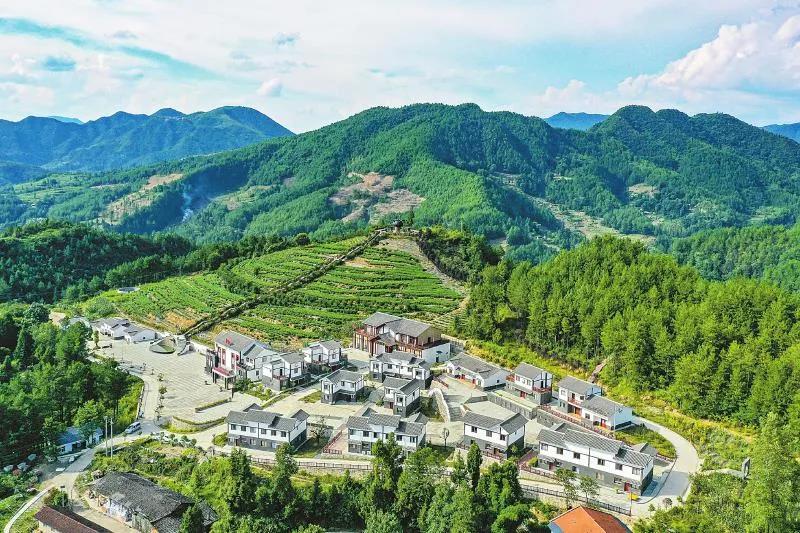 这里立足“富硒”优势，把小村庄建成了“茶博物馆”