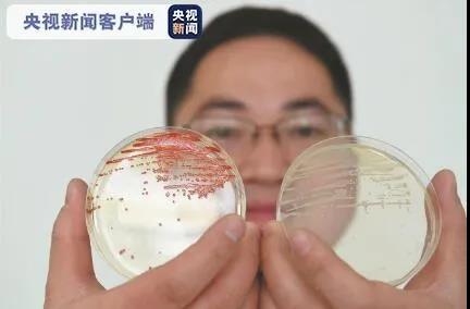 中科院合肥研究院研制出新型纳米硒肥