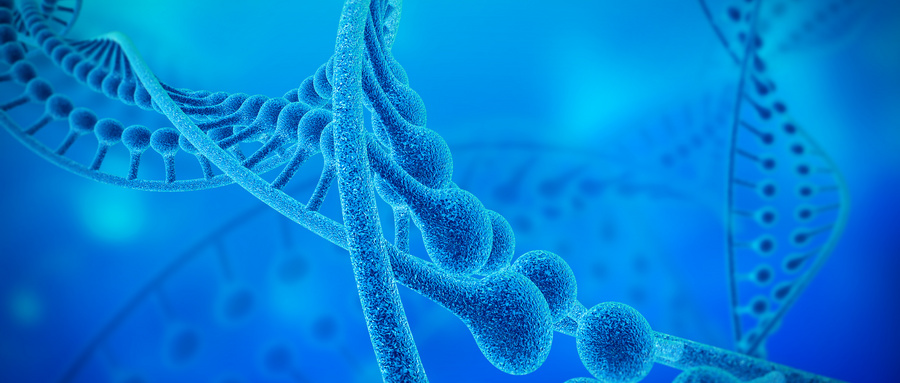 突破！余迪/刘争/张文宏等人揭示补充硒可以促进流感疫苗接种后年轻人的抗体反应